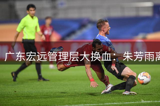 广东宏远管理层大换血：朱芳雨离任引发俱乐部战略转型思考
