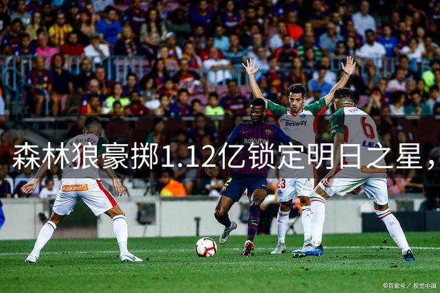 森林狼豪掷1.12亿锁定明日之星，未来七年筹码尽出