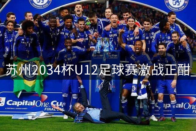苏州"2034杯"U12足球赛激战正酣 农夫山泉为全民足球梦注入"电解质能量